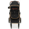 d308796d-e77f-4032-b4f8-08f55394a78b Poussette multifonctionnelle ESME 2en1 - Noir